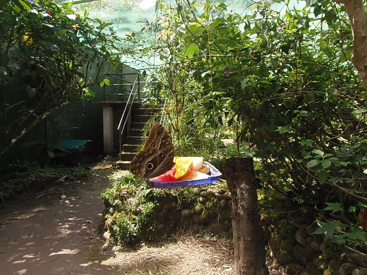 Hostal Pablo'S House มาชูปิกชู ภายนอก รูปภาพ